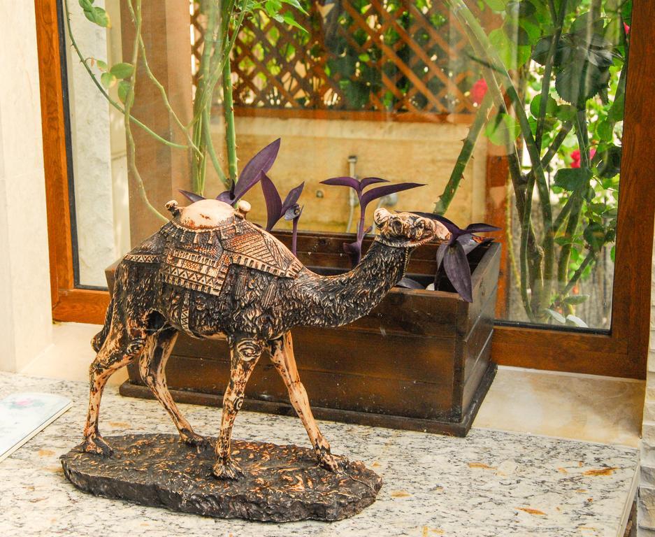 La Casa Primorsko 아파트 외부 사진